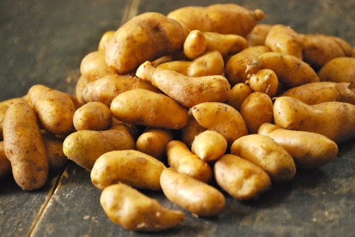 Homemade Mayonnaise via Relishing It