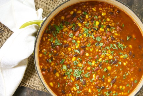 Vegetarian Lentil Taco Soup | Relishing It