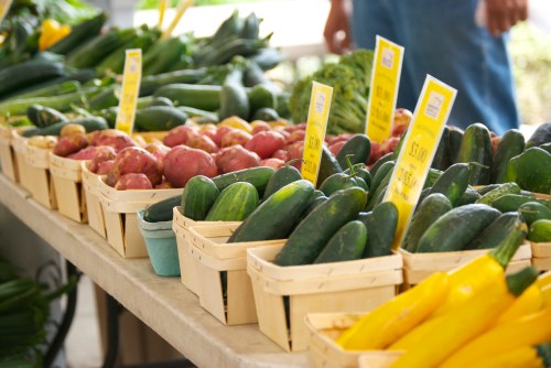 Zucchini Cauliflower Summer Gratin | Relishing it