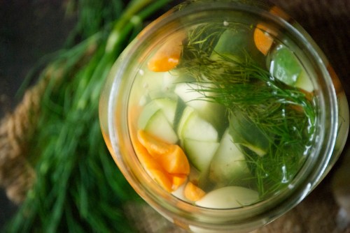 Crunchy Refrigerato Pickles with Garlic + Dill | Relishing It