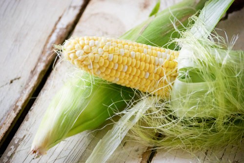 Curried Corn and Zucchini Fritters + Cilantro Mint Chutney | Relishing It
