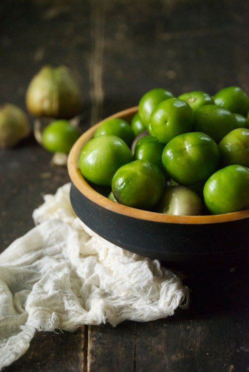 Roasted Tomatillo and Pork Stew | Relishing It