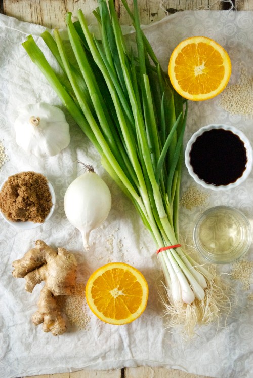 Braised Korean Beef Short Ribs | Relishing It