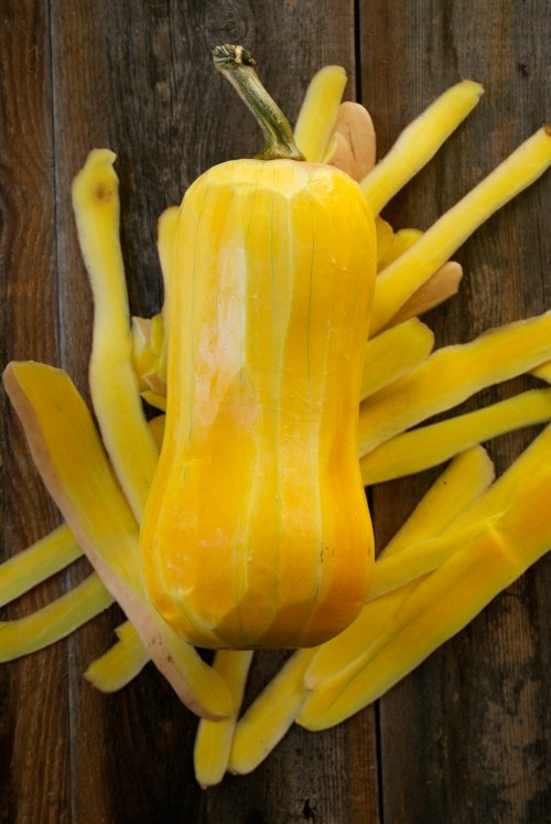 Wild Rice, Roasted Butternut Squash, and Kale with Citrus Curry Dressing | Relishing It