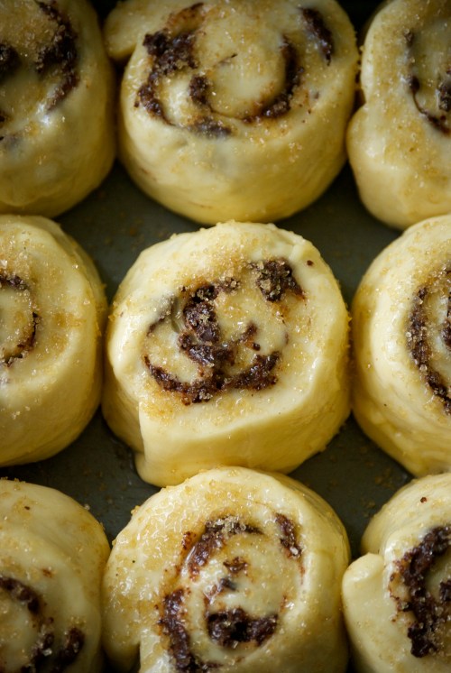 Bittersweet Chocolate Cinnamon Rolls | Relishing It