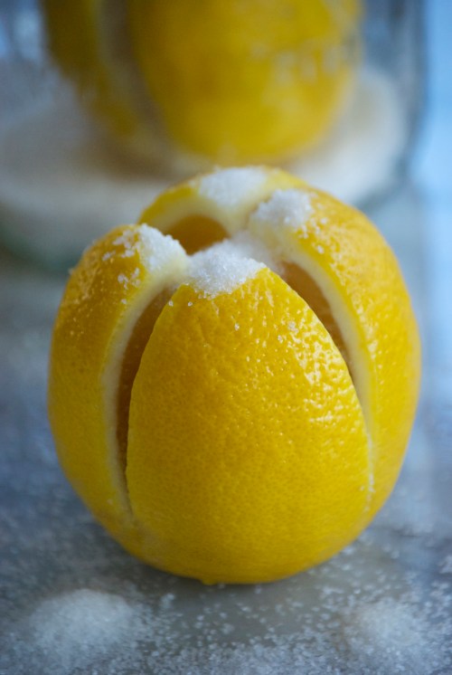 Salt-Preserved Lemons | Relishing It
