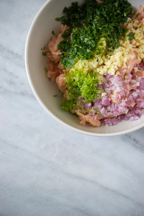 Thai Turkey Meatballs with Coconut Curry Sauce | Relishing It