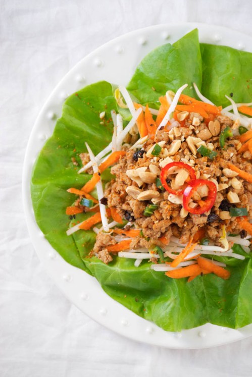 Asian Lettuce Wraps | Relishing It